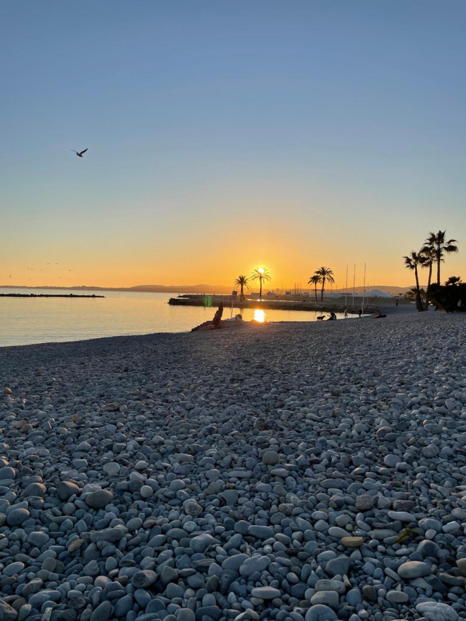 Regent Cote D'Azur Air-Conditioned, Pool, Garden & Parking Villeneuve-Loubet Bagian luar foto